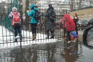 школьники