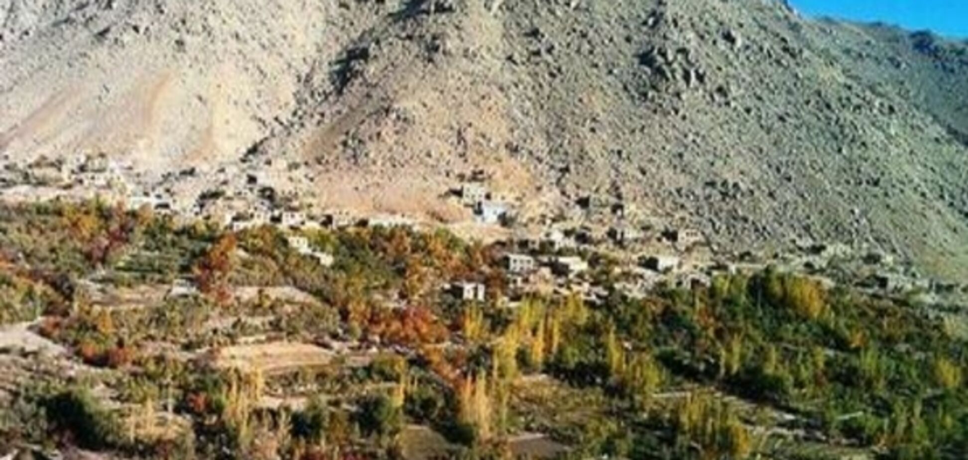 Лідер 'Талібану' несподівано закликав афганців садити дерева