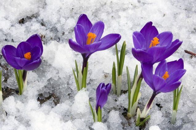 Прогноз погоды весна