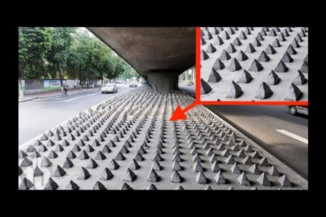 8 способов контроля поведения человека