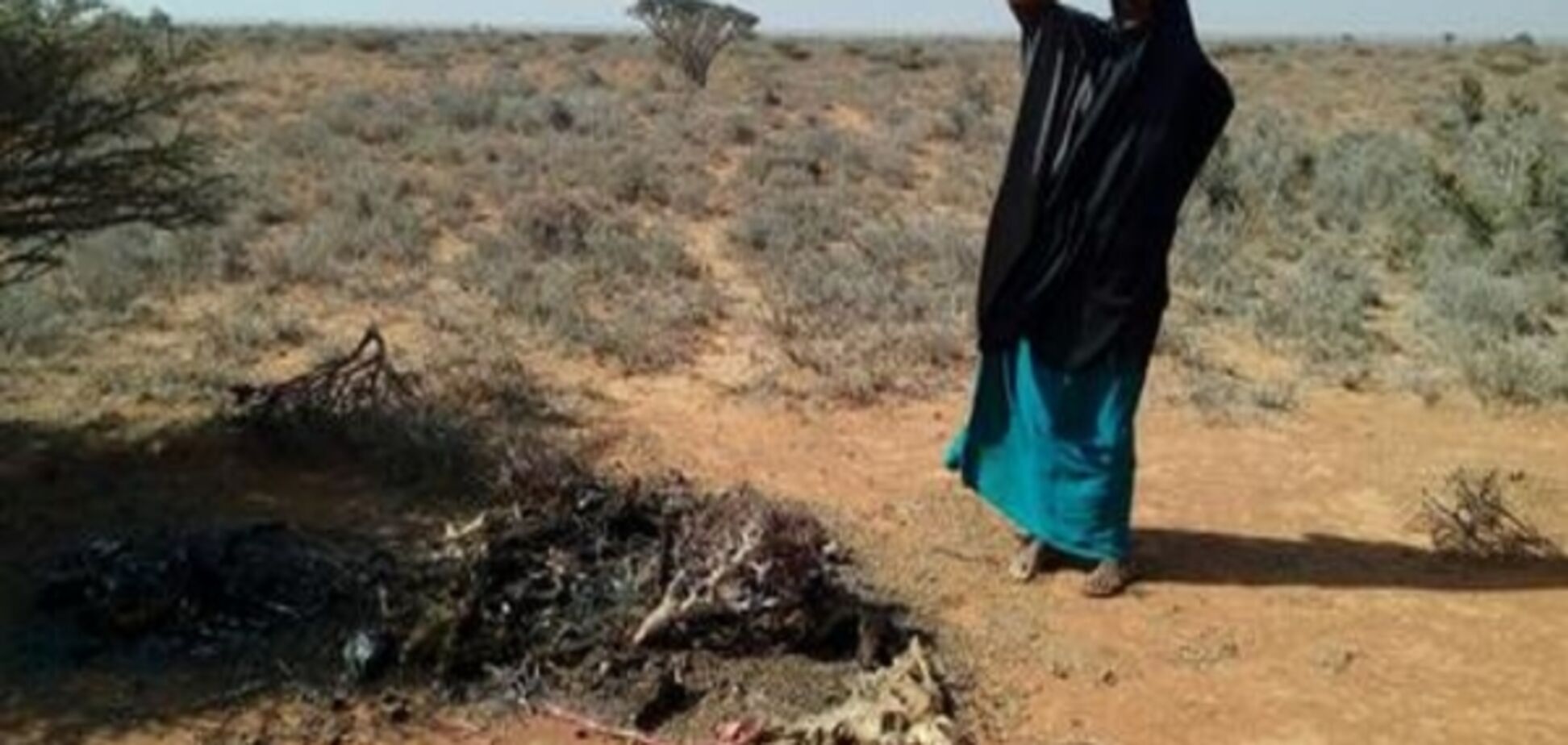 Сомалі загрожує голод, президент країни оголосив надзвичайний стан