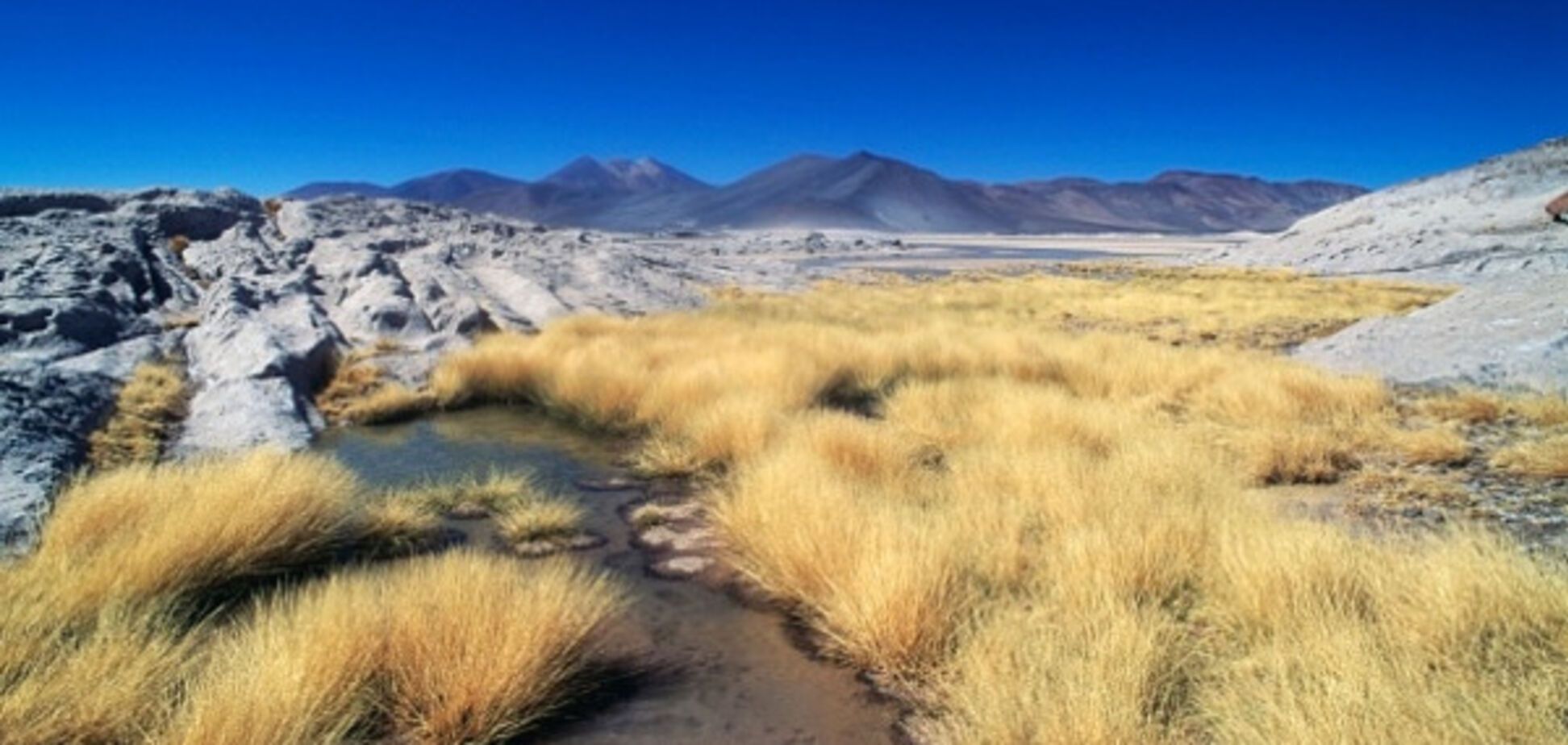 В Чили обнаружены жители, устойчивые к воздействию мышьяка