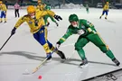 чемпионат России по хоккею с мячом