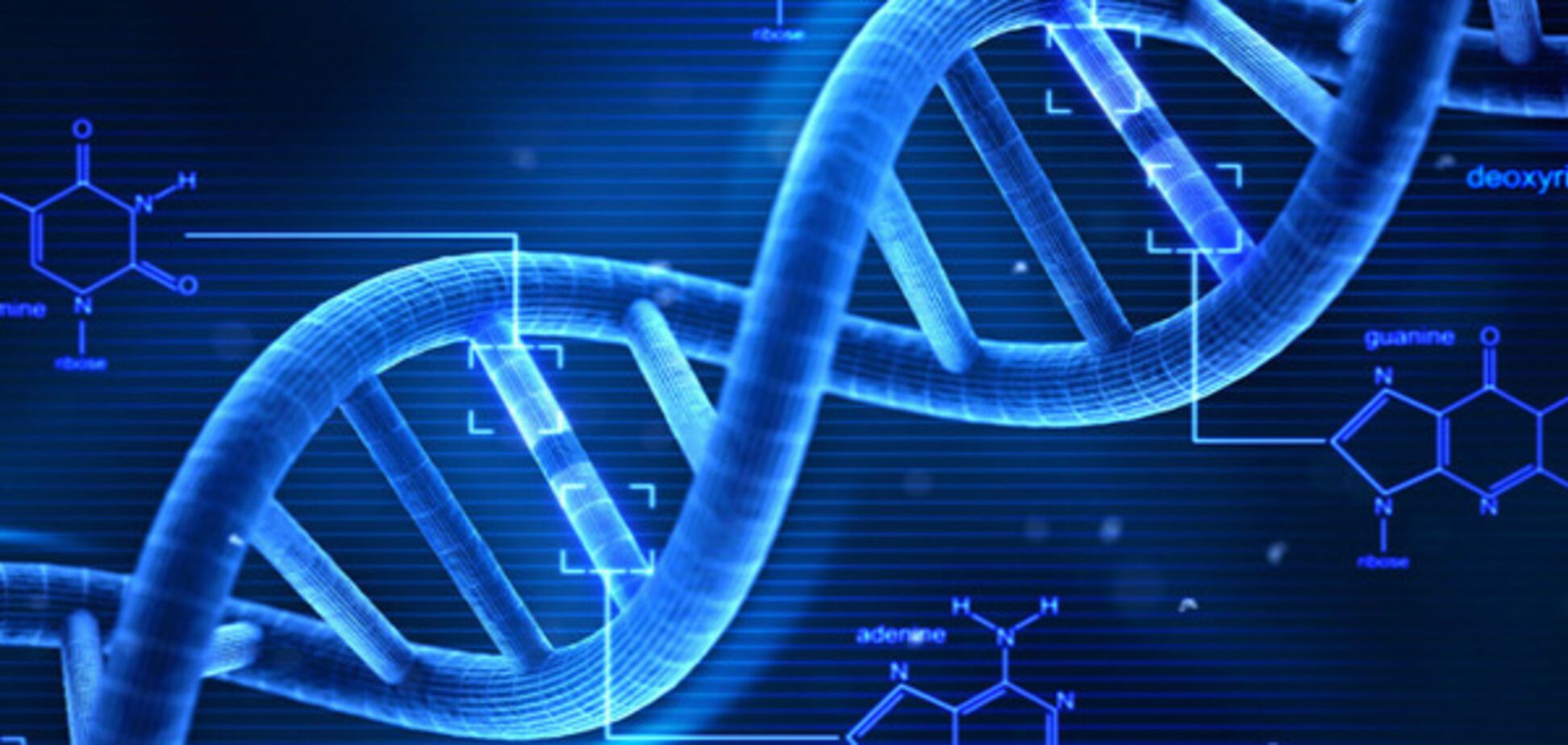 ДНК,Генетика