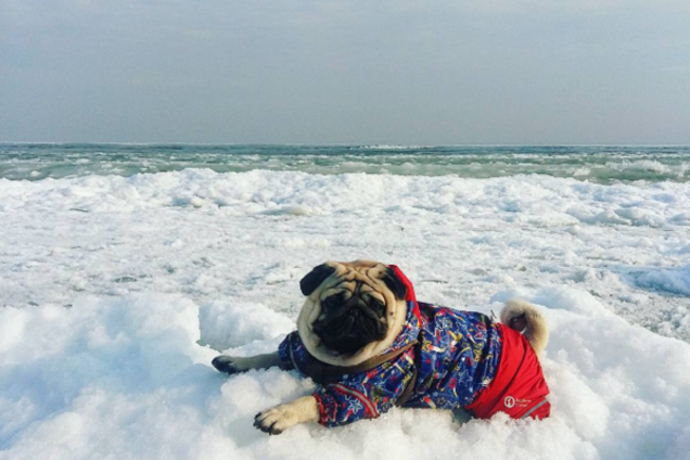 Море в Одессе