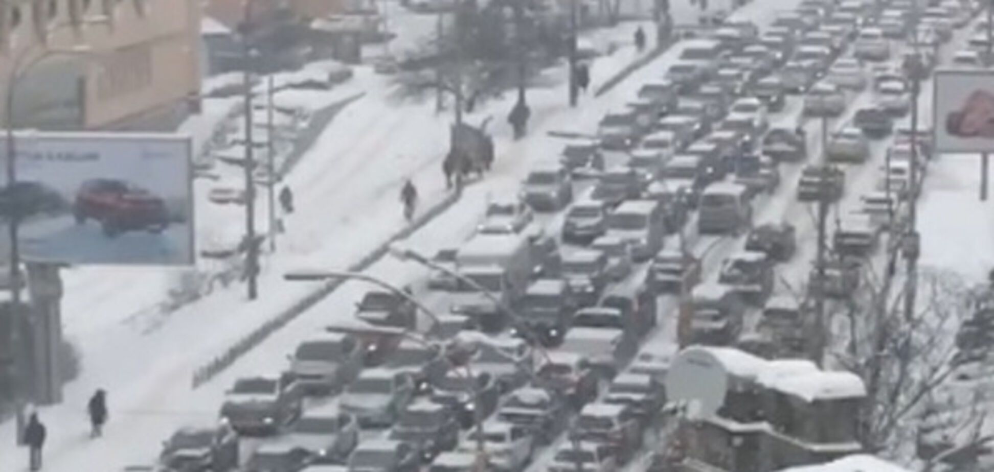Масса ДТП и мегапробки: как по Киеву ударил снегопад
