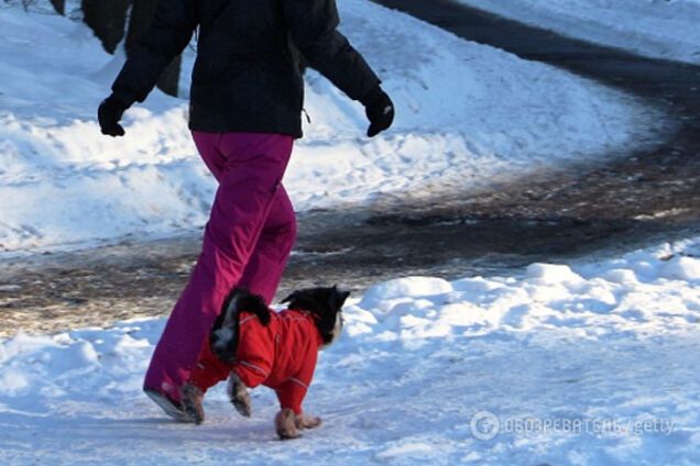 снегопад в Киеве