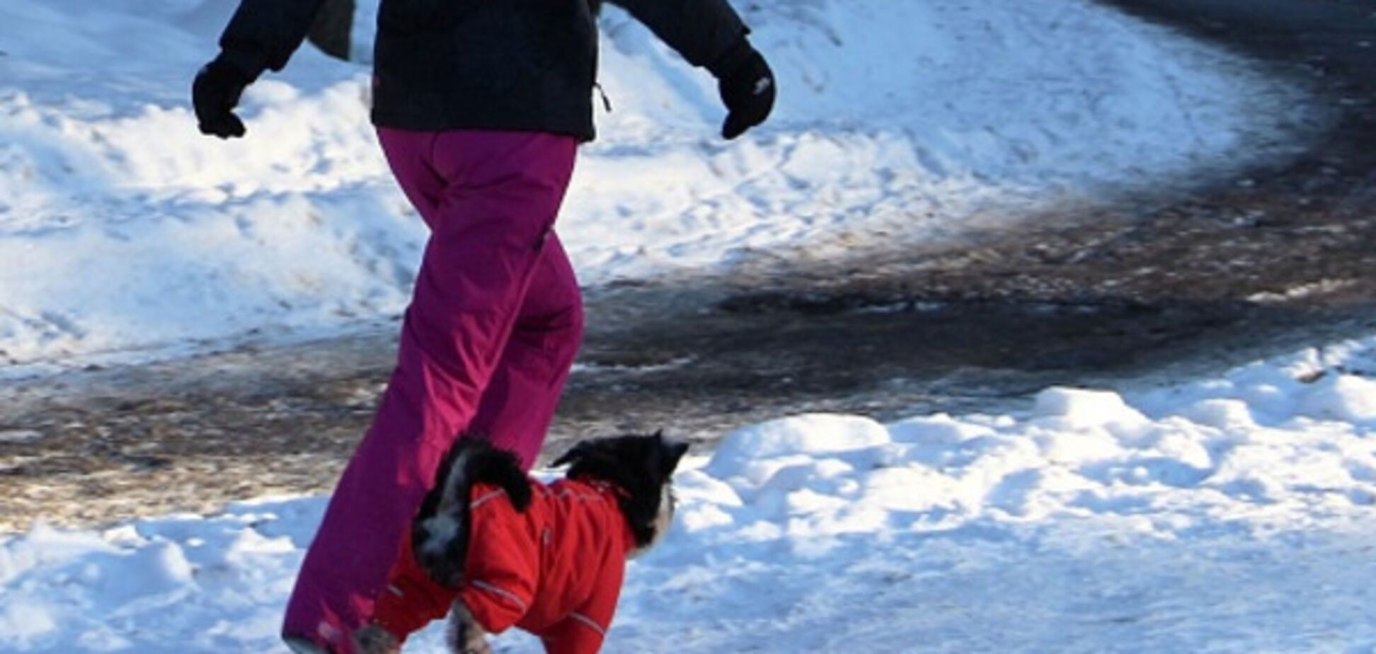 снегопад в Киеве