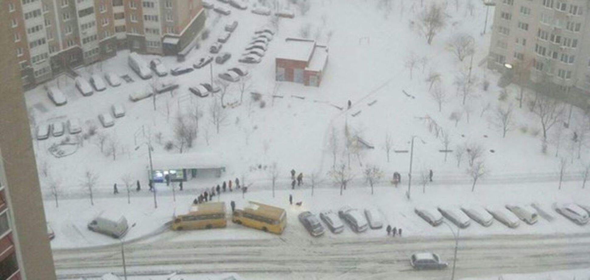 снігопад в Києві