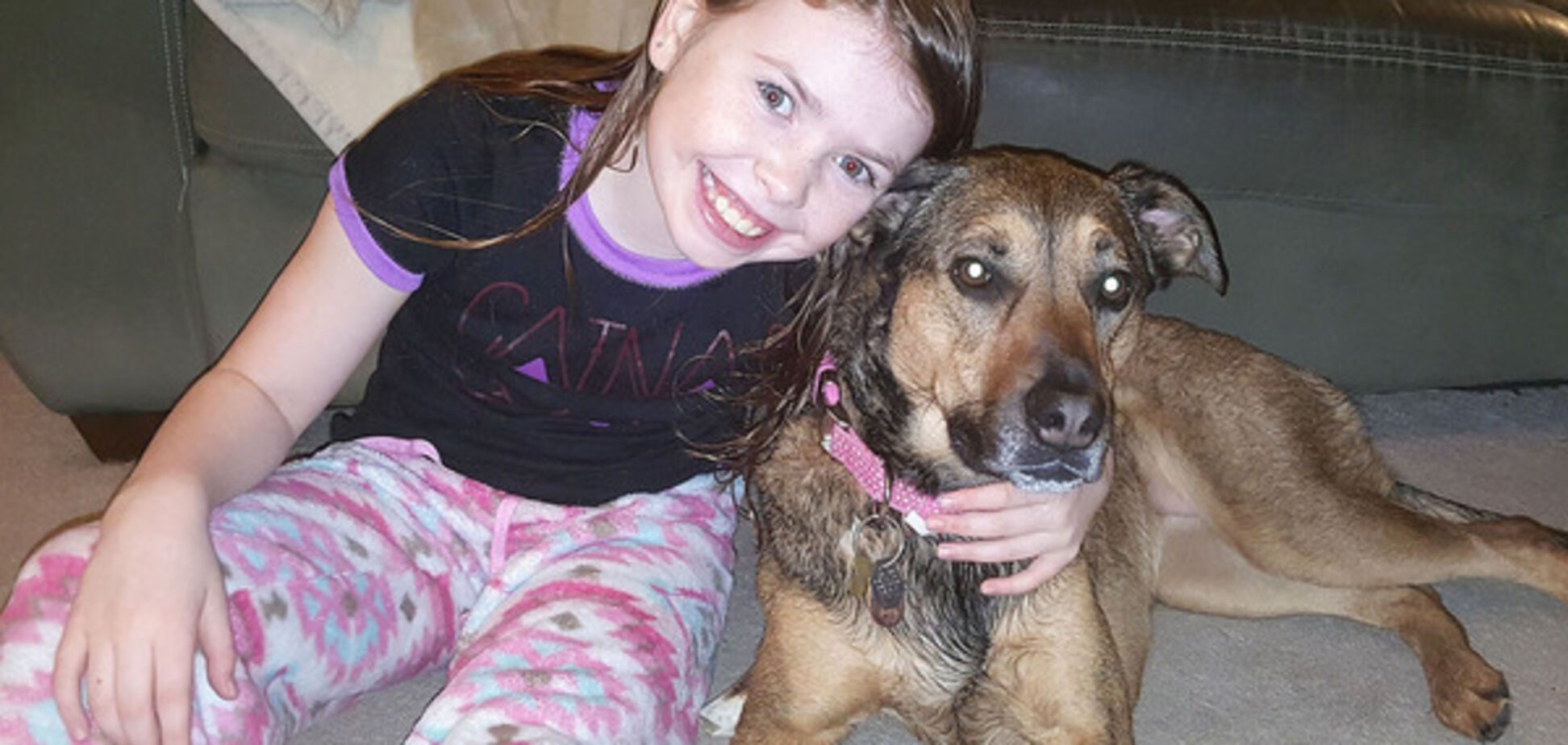 Дитяча доброта врятує світ: 9-річна дівчинка відмовилася від подарунків, щоб допомогти собакам