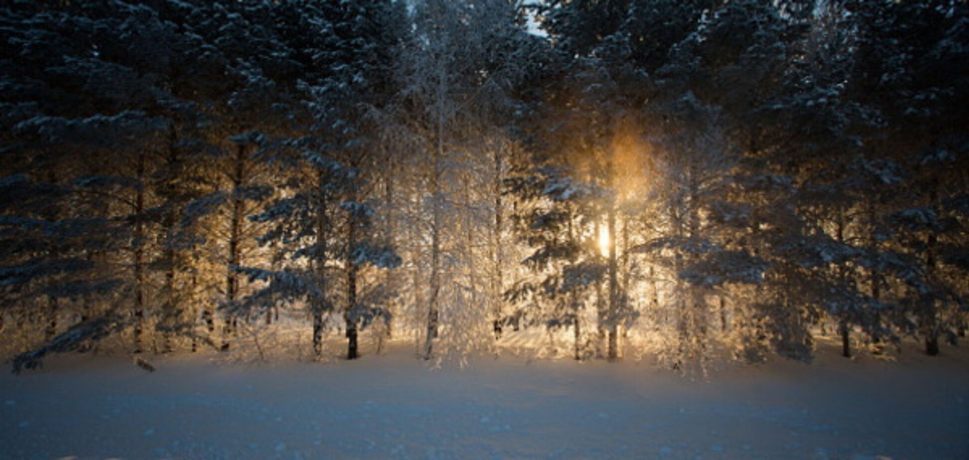 мороз и солнце