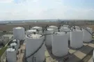 СМИ: Одесский завод Allseeds подозревают в масштабной фальсификации