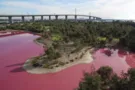 розовое озеро парка Уэстгейт, что в австралийском Мельбурне