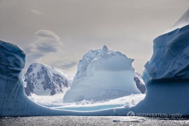 Антарктида