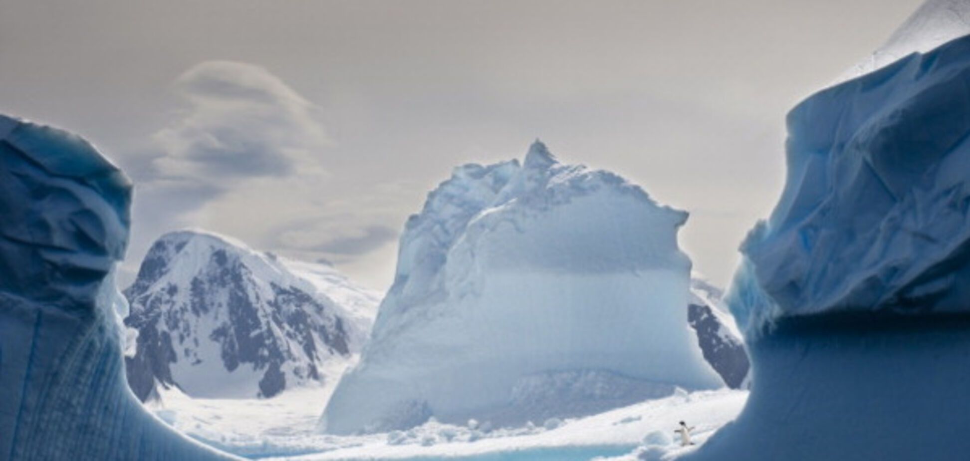 Антарктида