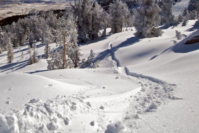 Прогноз погоды