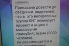 Синий кит