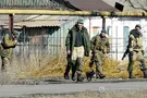 донбасс террористы
