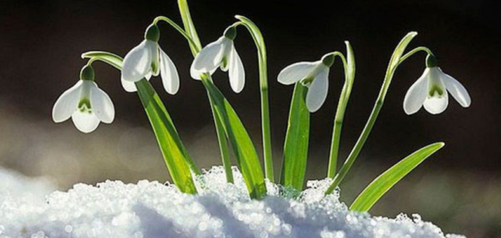 Прогноз погоди в Україні