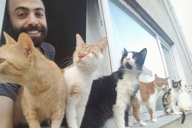 Сарпер Думан с котами