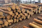 torg.ukrbio.com