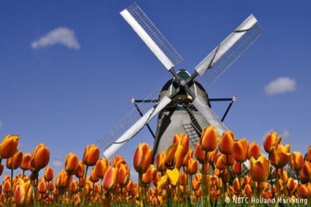 Нідерланди: більше, ніж тюльпани та помідори