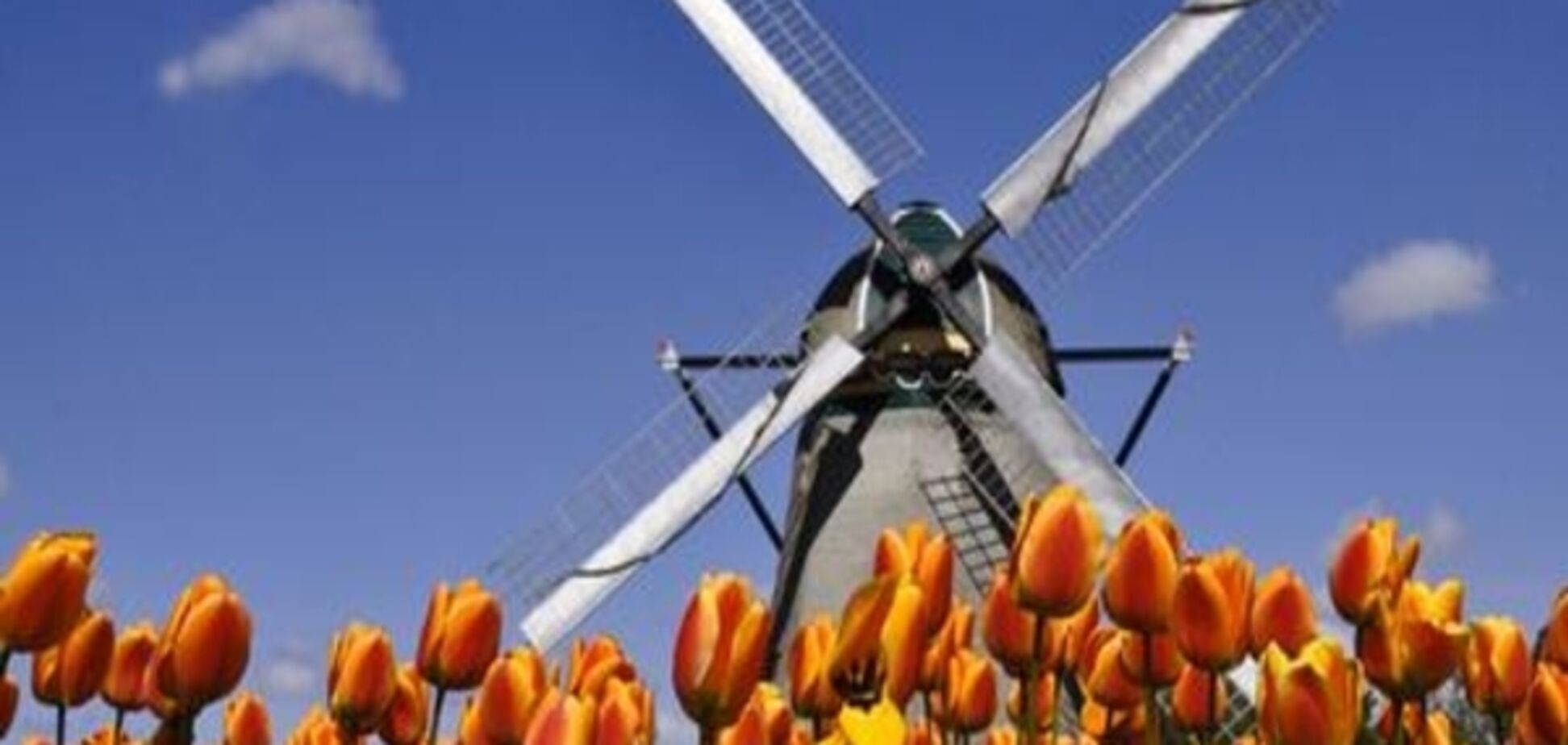 Нідерланди: більше, ніж тюльпани та помідори