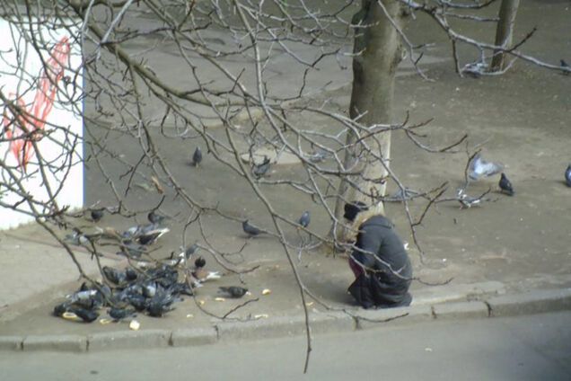 голуби хлеб Одесса