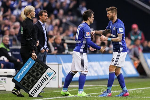 Коноплянка Шальке