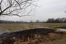 Долина нарциссов
