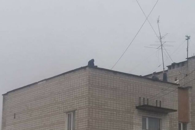 Синій кит на Львівщині