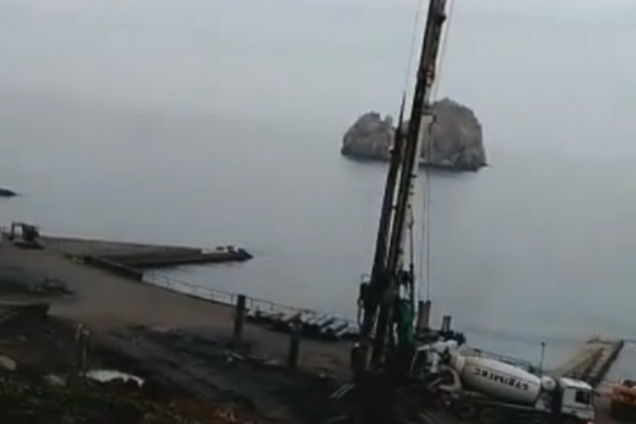 Уничтоженная роща