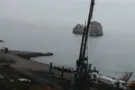 Уничтоженная роща