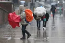 Весенний дождь