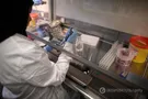 Медик, исследования