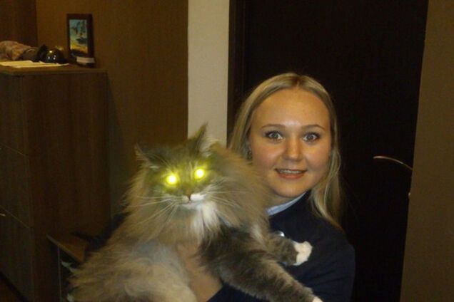 Вигуляю кота, постою в черзі, завезу додому: оголошення киянки розчулило інтернет