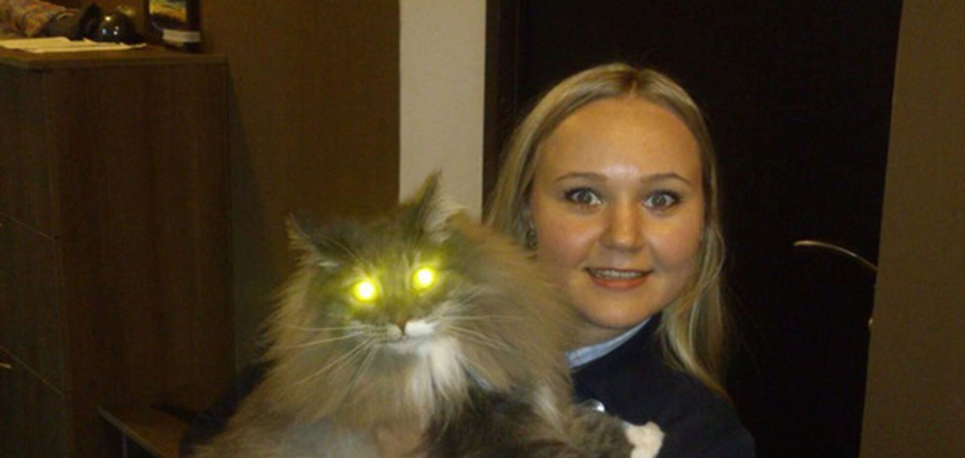 Выгуляю кота, постою в очереди, завезу домой: объявление киевлянки умилило интернет