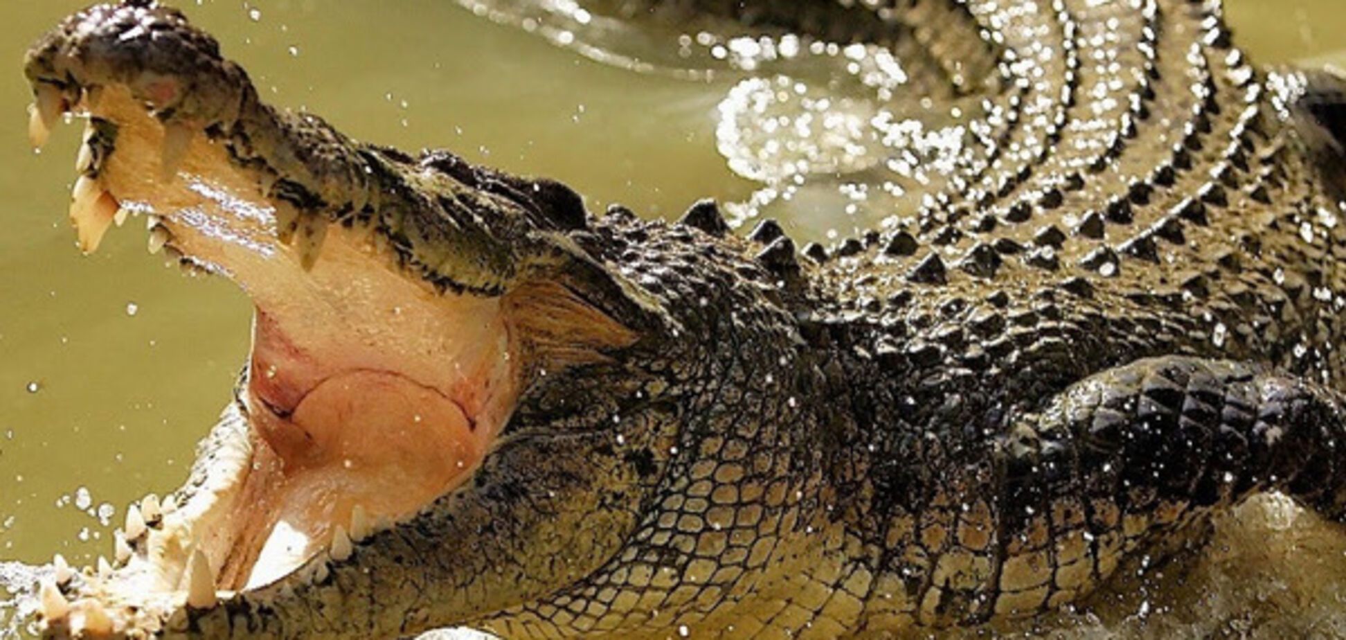 Эстевао Альберто Жино