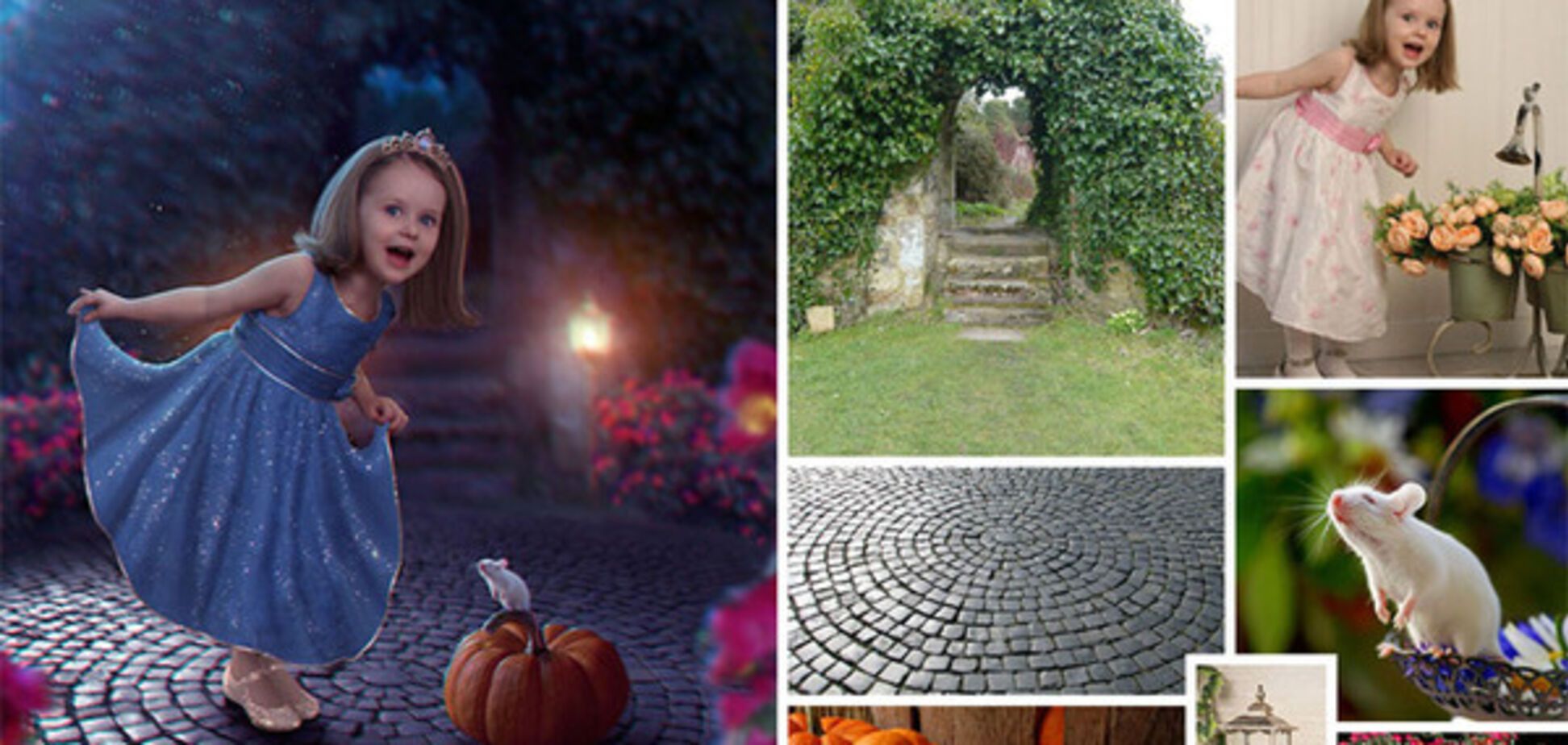 Робота Вікторії Солідарних