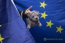 Brexit