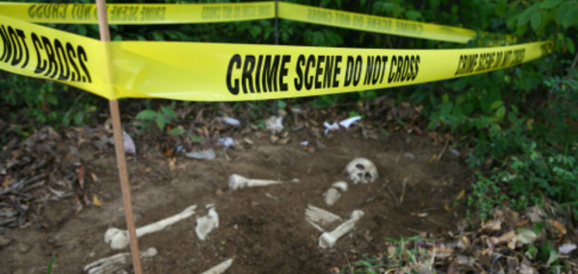 знайшли скелет