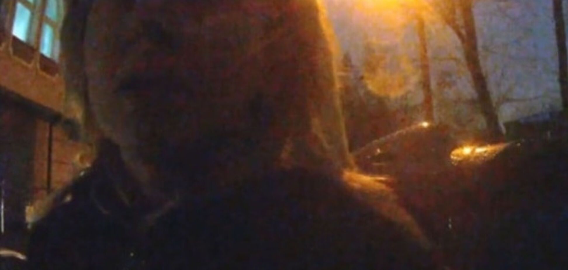 Виктория Кицюк