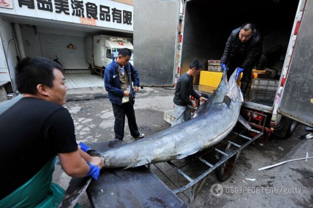 Загрожує голод: названа дата, коли людство втратить один із головних продуктів харчування