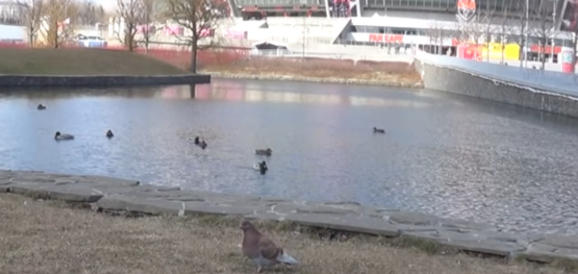 Донбасс Арена видео