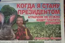 Газета Династия