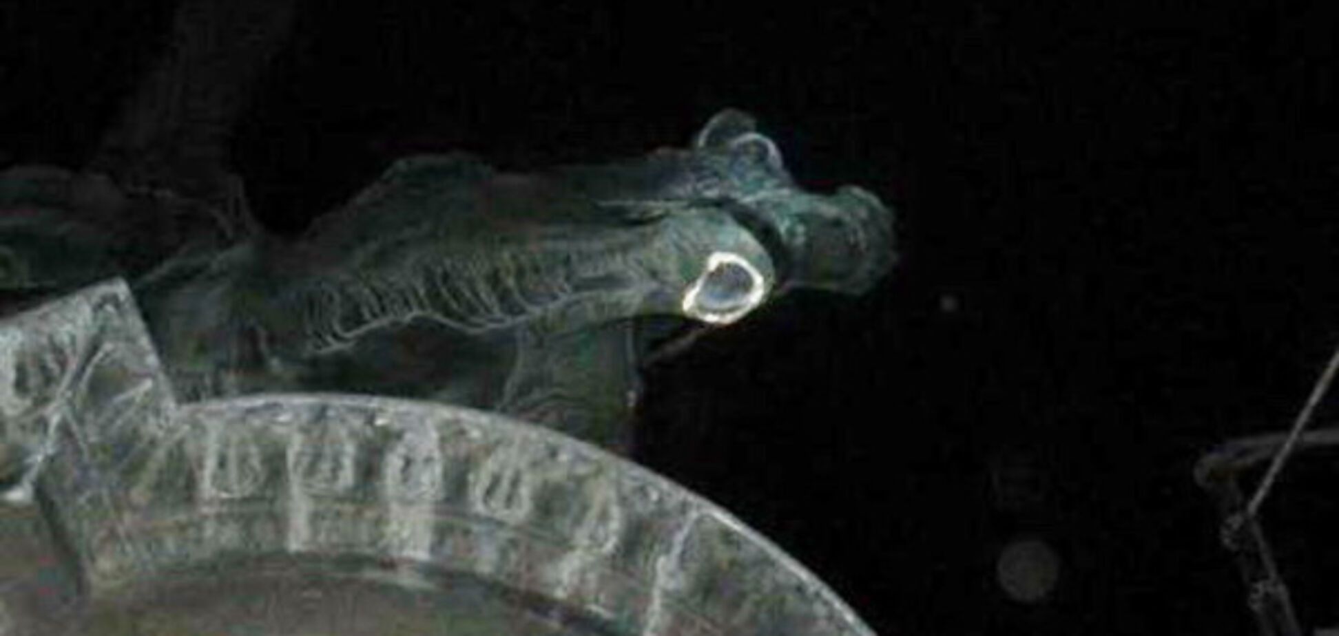 памятник Щорсу