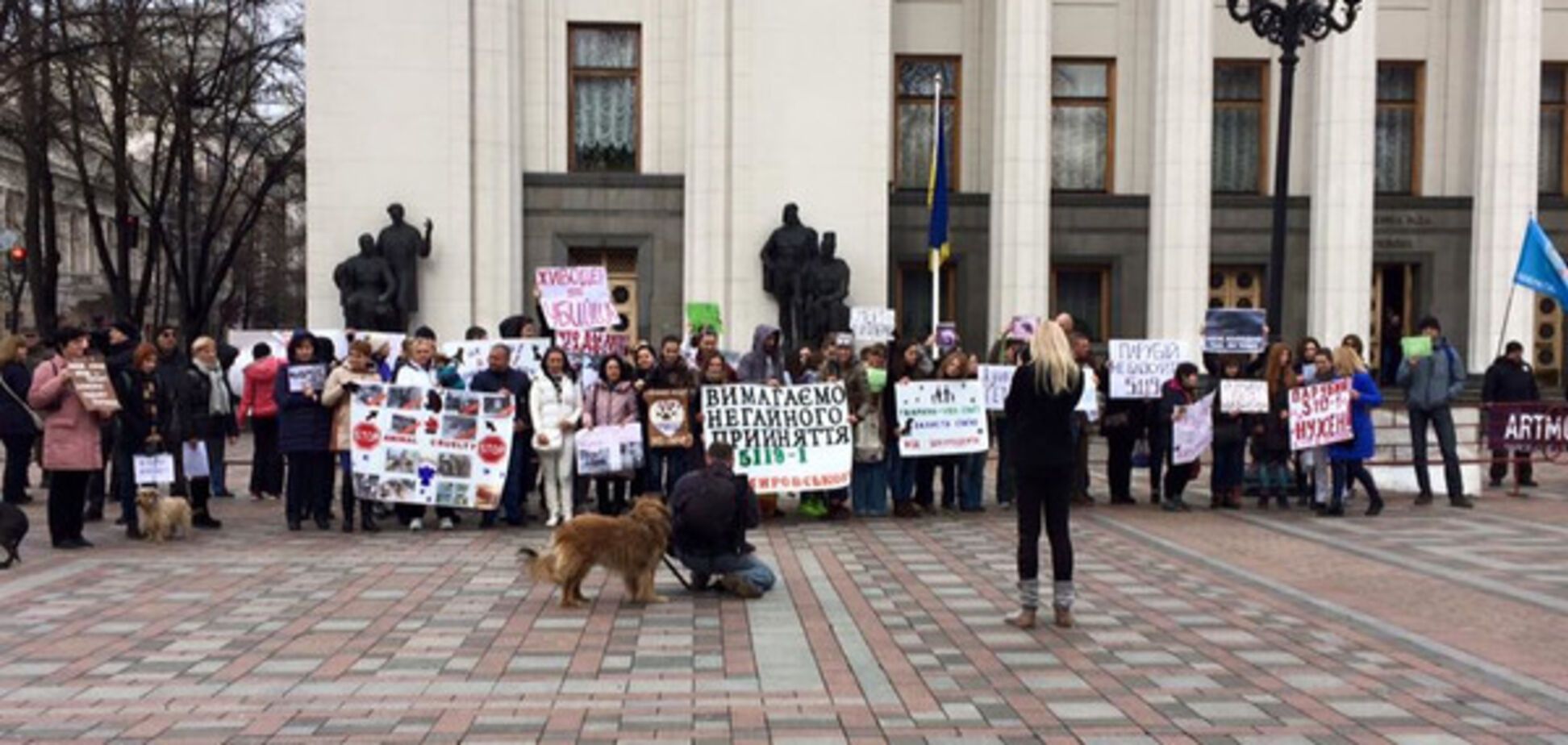Под Радой требовали наказания для живодеров