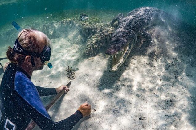 Смельчаки-туристы взбудоражили сети подводными фото с 4-метровыми крокодилами