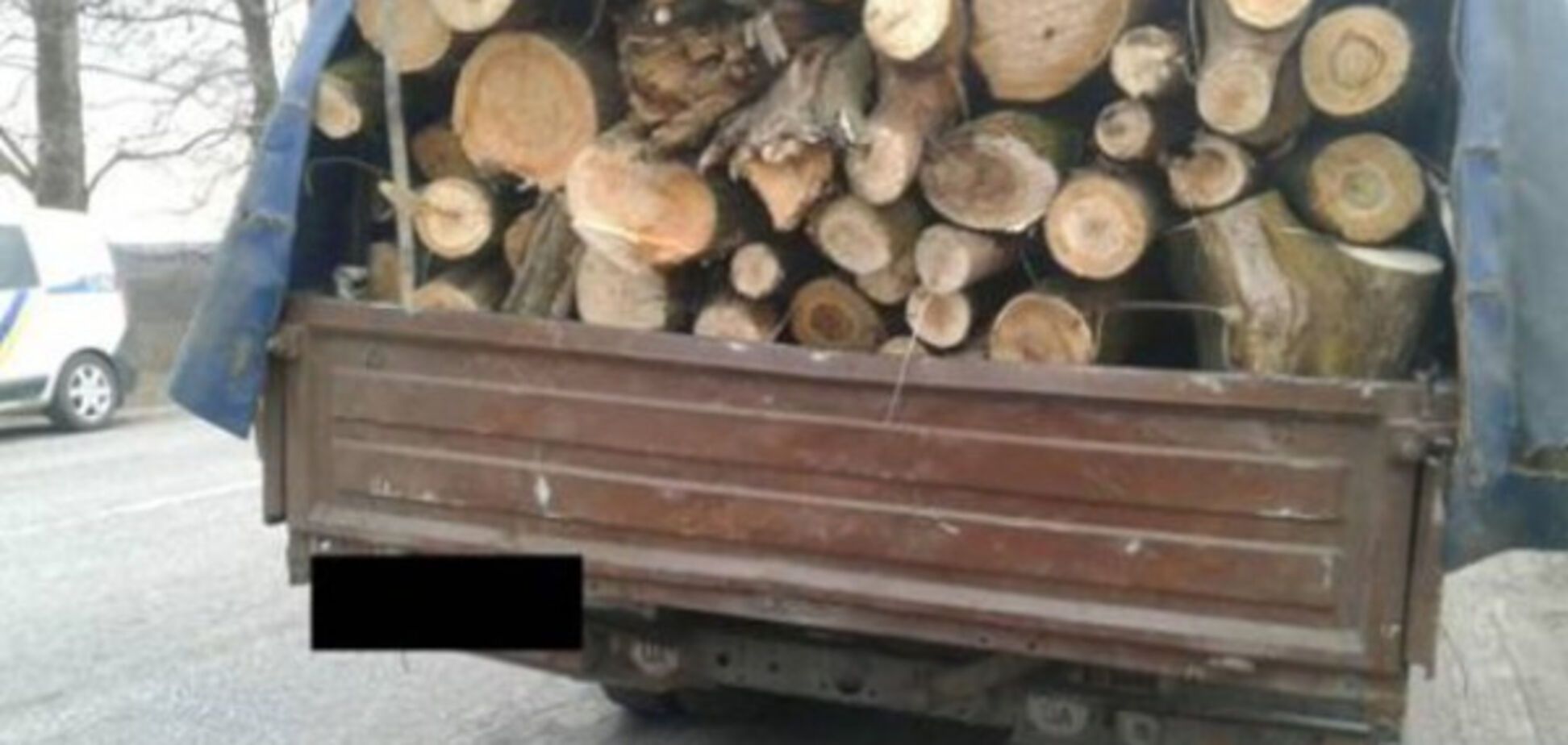 Вырубка деревьев