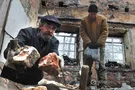 "Спасите от геноцида": в "ДНР" написали "обращение к Путину, Трампу и Меркель"